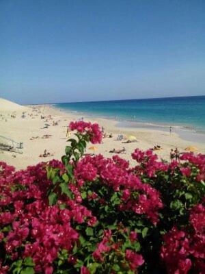 Paradis Morro Jable  Dış mekan fotoğraf